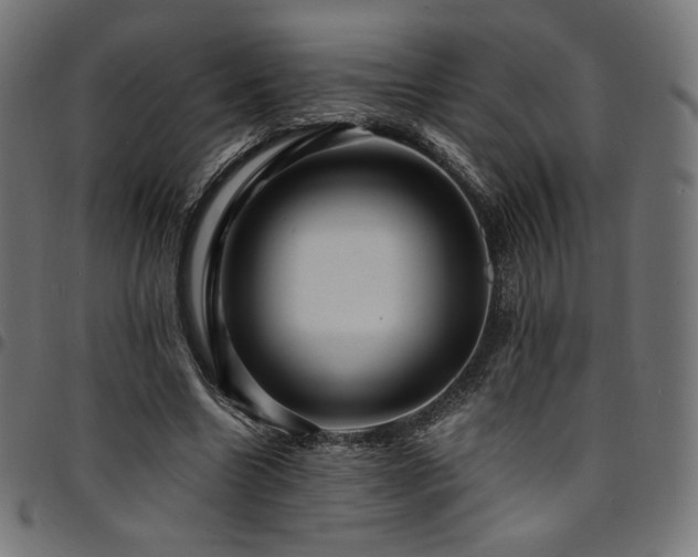 X0000095540538200712141527