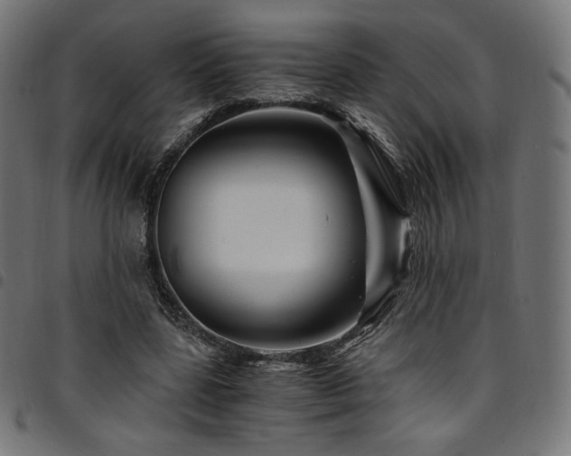 X0000095540539200712141527