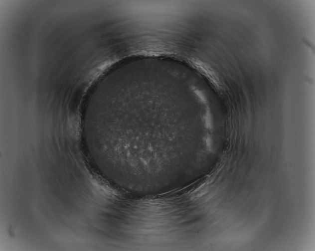 X0000095540540200712141527