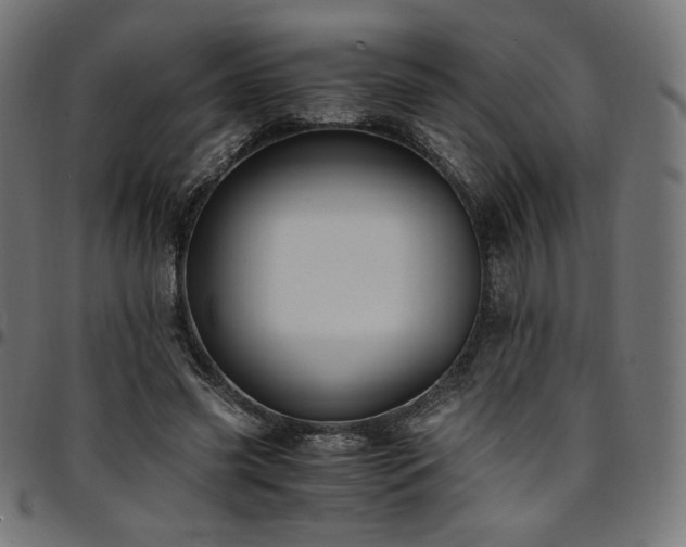 X0000095540541200712141527