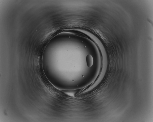 X0000095540543200712141527