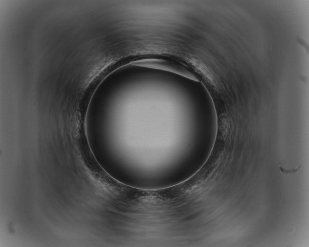 X0000095540544200712141527