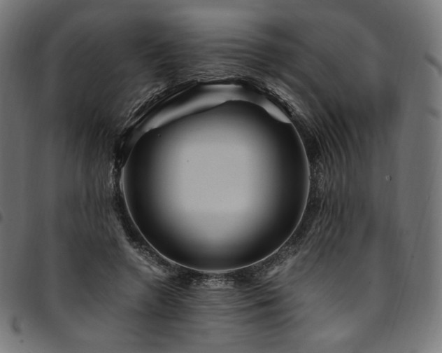 X0000095540546200712141527