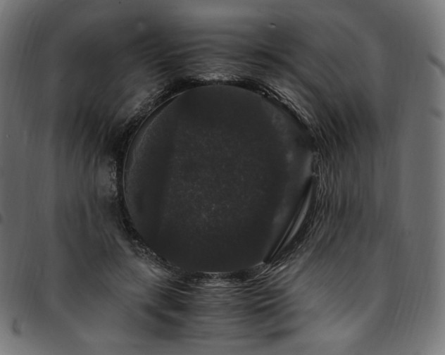 X0000095540547200712141527