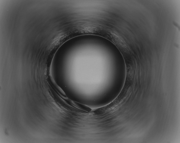 X0000095540548200712141527