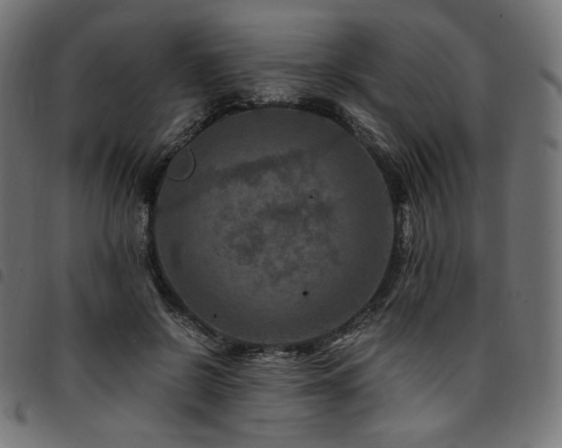 X0000095540550200712141527