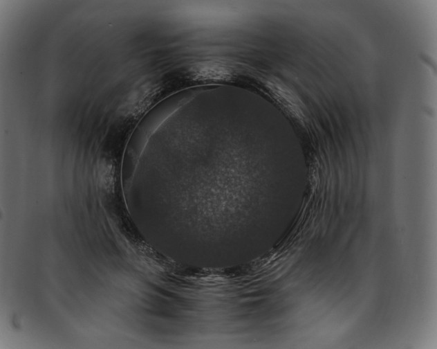 X0000095540551200712141527