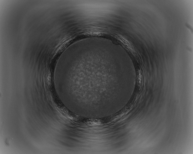 X0000095540552200712141527