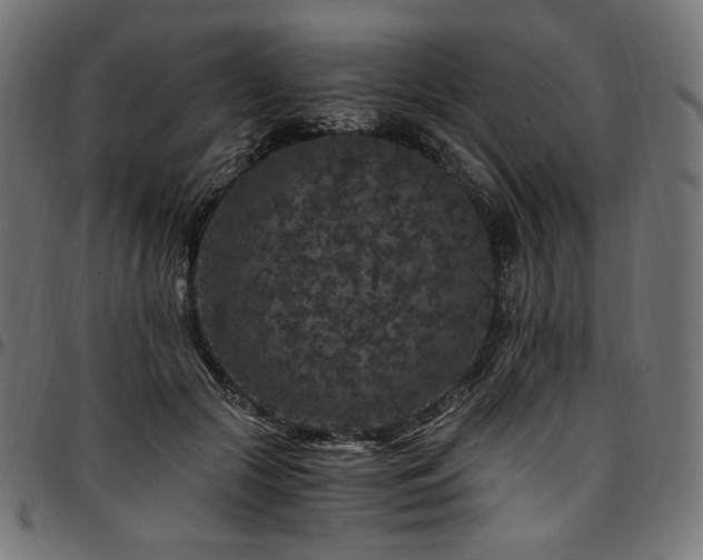 X0000095540553200712141527