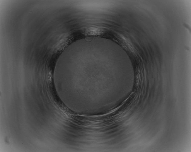 X0000095540555200712141527