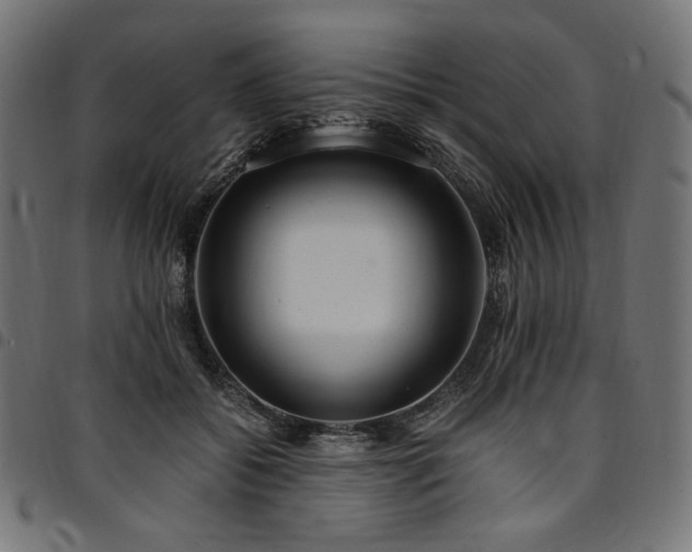 X0000095540556200712141527