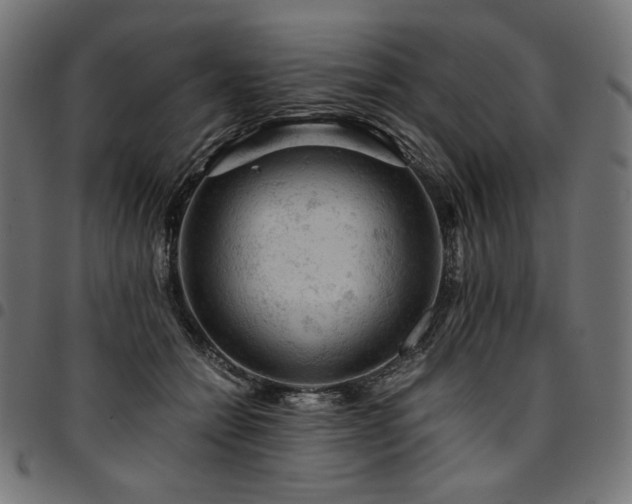 X0000095540558200712141527