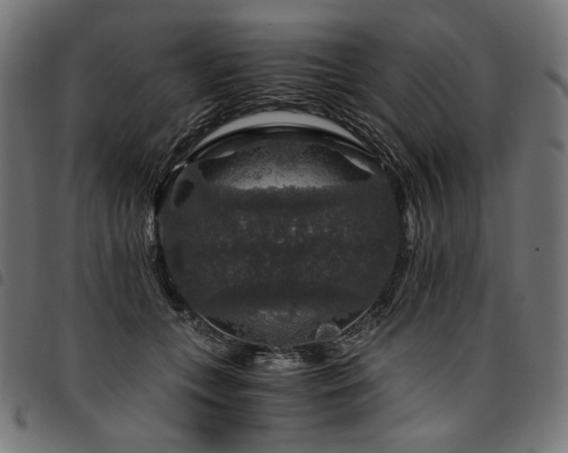 X0000095540559200712141527