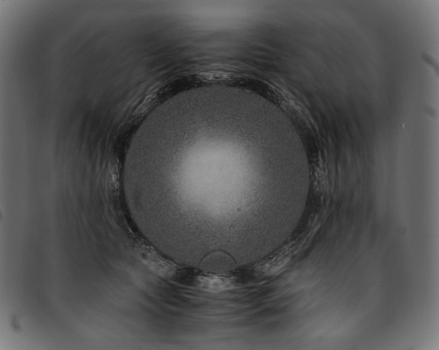 X0000095540561200712141527