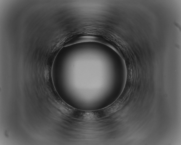 X0000095540562200712141527