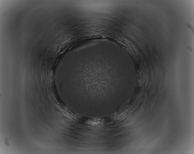 X0000095540563200712141527