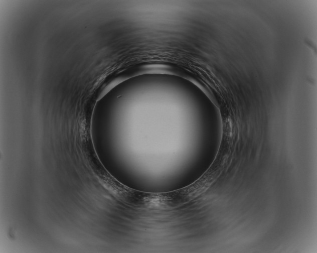 X0000095540564200712141527