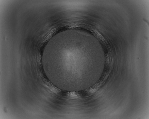 X0000095540565200712141527