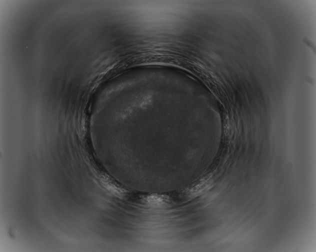 X0000095540566200712141527