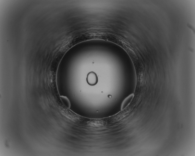 X0000095540567200712141527