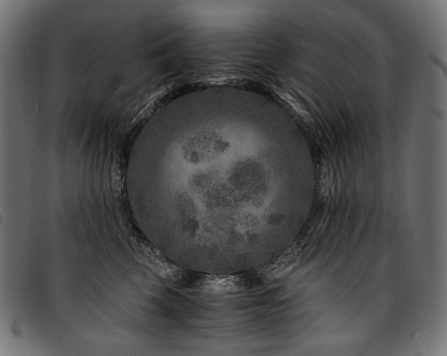 X0000095540569200712141527