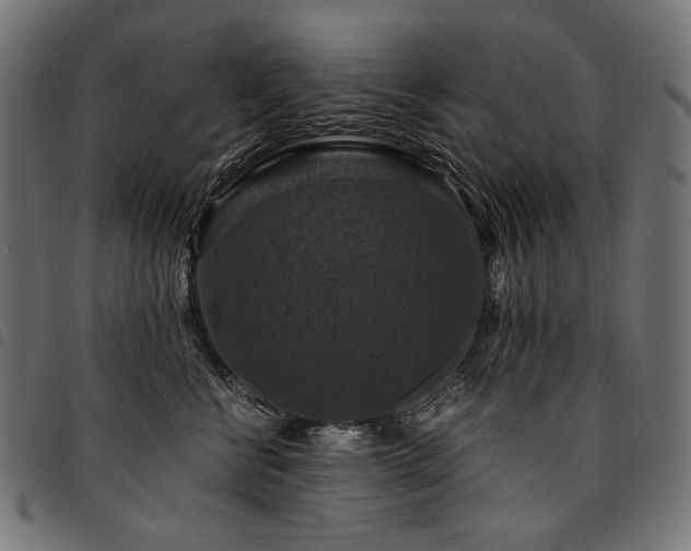 X0000095540570200712141527