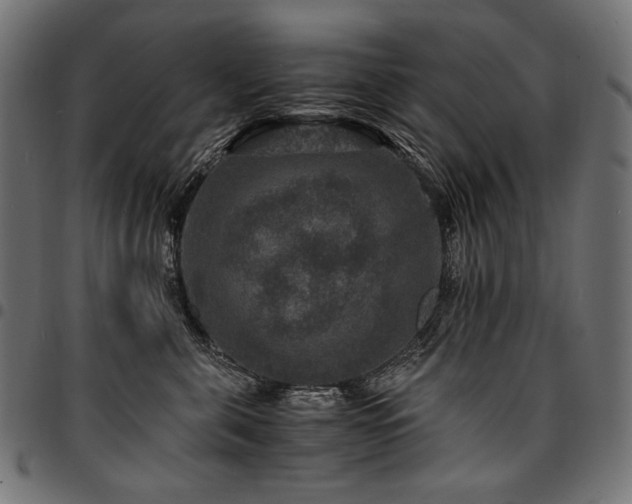 X0000095540571200712141527