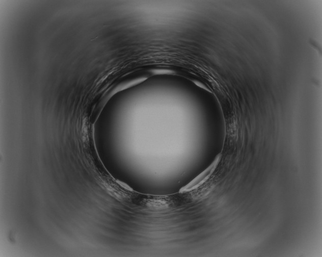 X0000095540572200712141527