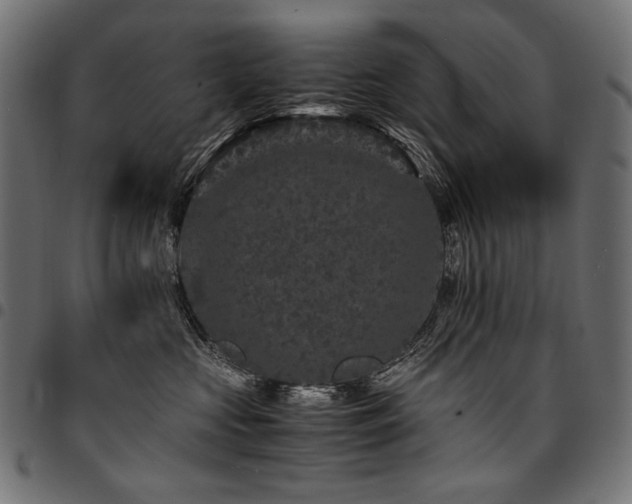 X0000095540573200712141527