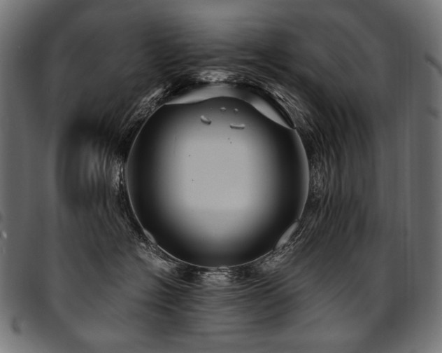 X0000095540574200712141527