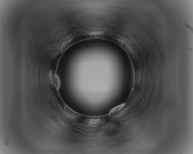 X0000095540575200712141527