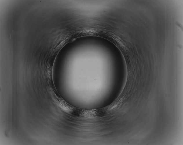 X0000095540576200712141527