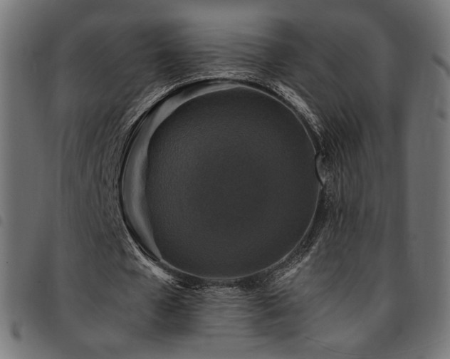 X0000095540577200712141527