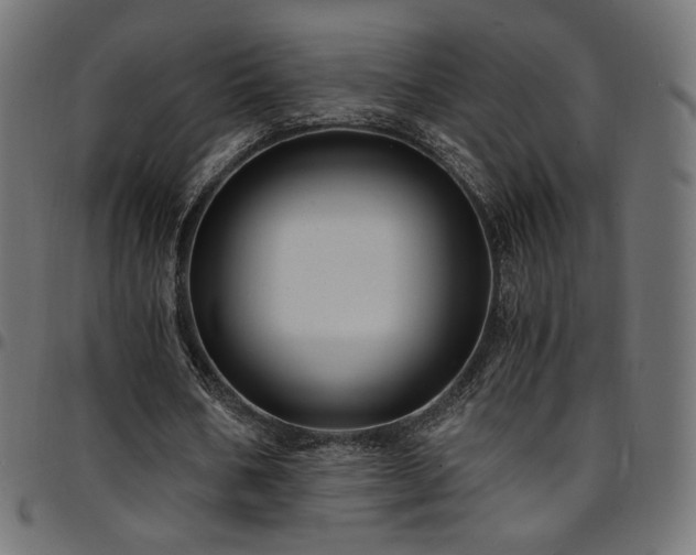 X0000095540578200712141527