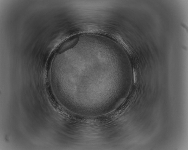 X0000095540579200712141527