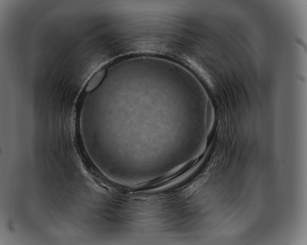 X0000095540580200712141527