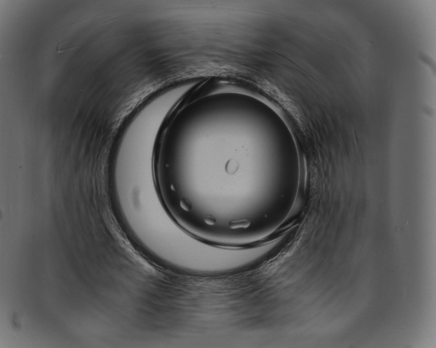 X0000095540581200712141527