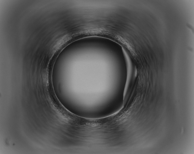 X0000095540582200712141526