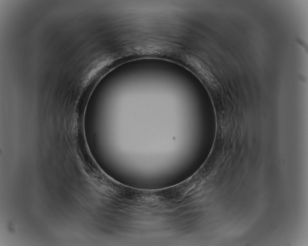 X0000095540583200712141526