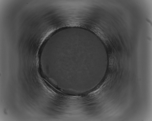 X0000095540584200712141526