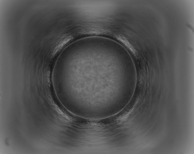 X0000095540585200712141526