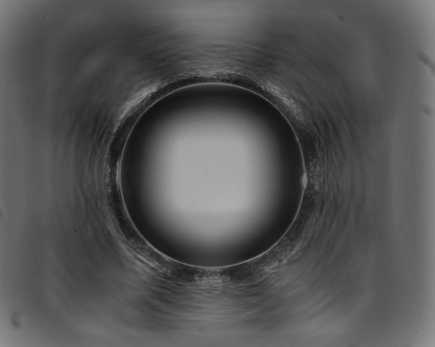 X0000095540587200712141526