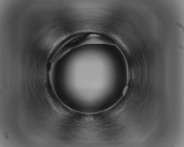 X0000095540588200712141526