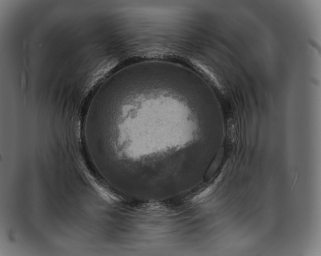 X0000095540589200712141526