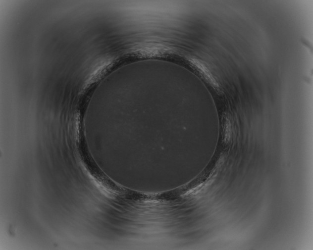 X0000095540590200712141526