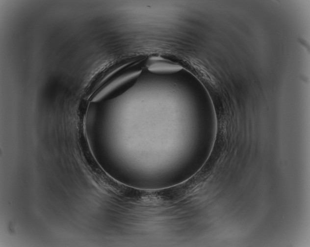 X0000095540591200712141526