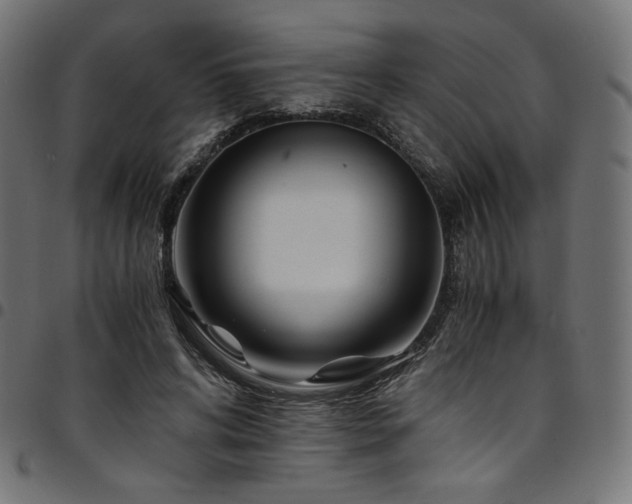 X0000095540592200712141526