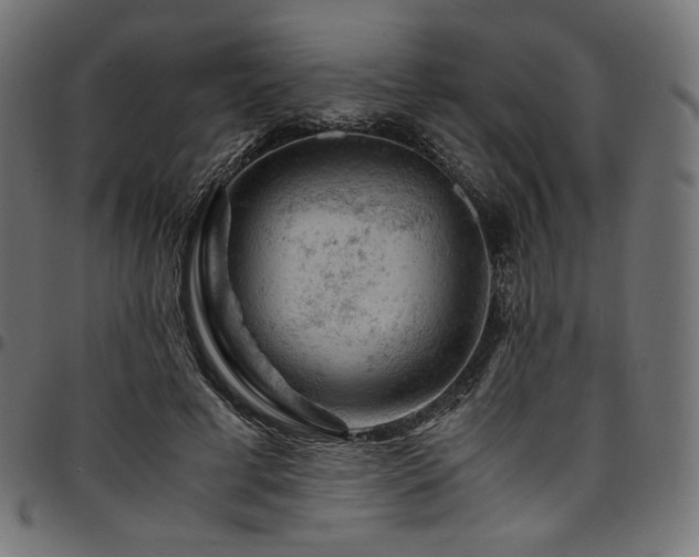 X0000095540593200712141526