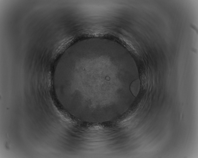 X0000095540594200712141526