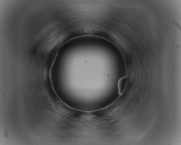 X0000095540595200712141526